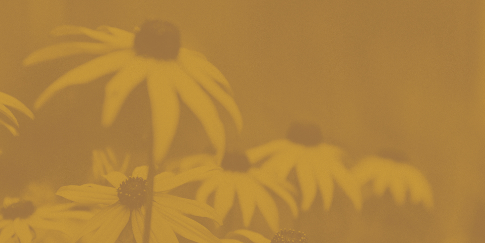 A negação na meditação