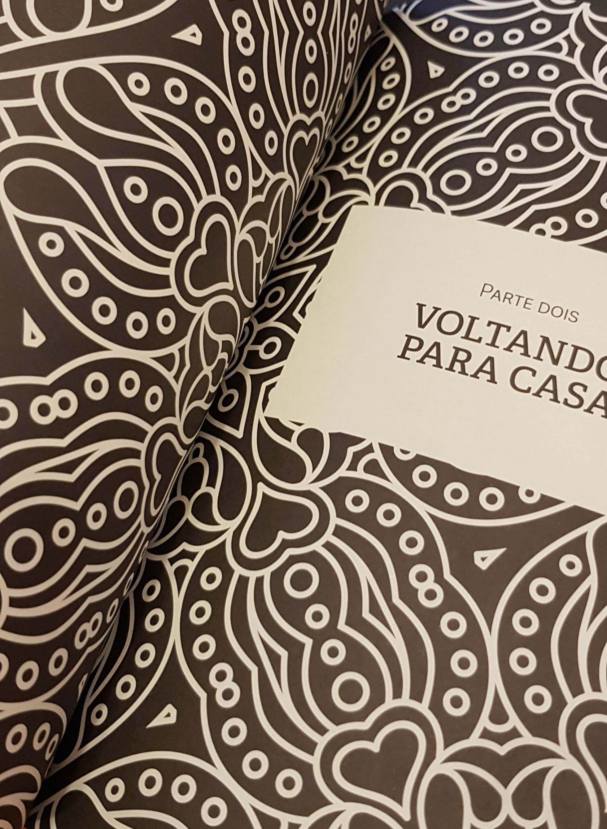 Apaixonado pelo mundo: a jornada de um monge pelos bardos do viver e do morrer